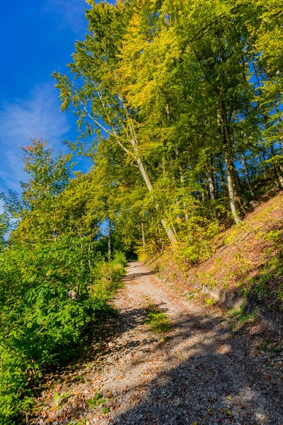 นพบช วงปลายฤด อนผ Grabfeld สวยงามท ประต ของ Franconia Thuringia — ภาพถ่ายสต็อก