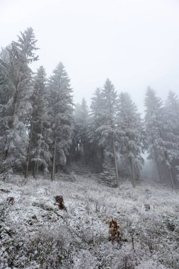 Karlı Thüringen Ormanı boyunca Ruppberg 'de kış yürüyüşü