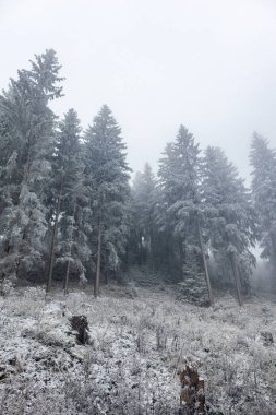 Karlı Thüringen Ormanı boyunca Ruppberg 'de kış yürüyüşü