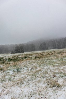 Karlı Thüringen Ormanı boyunca Ruppberg 'de kış yürüyüşü
