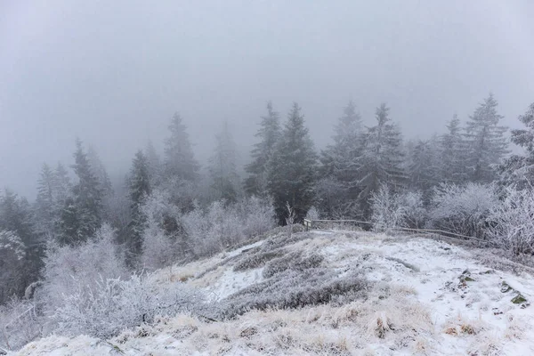 Randonnée Hivernale Sur Ruppberg Travers Forêt Thuringe Enneigée Thuringe — Photo