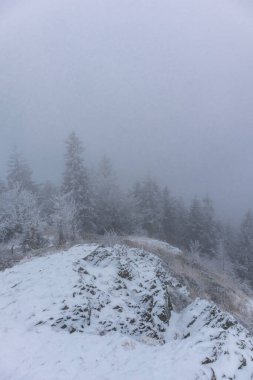 Karlı Thüringen Ormanı boyunca Ruppberg 'de kış yürüyüşü