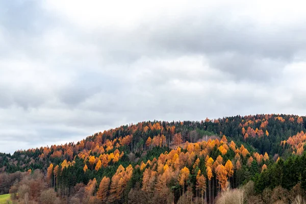 カラフルなテューリンゲンの森をハイキング テューリンゲン自由州 — ストック写真