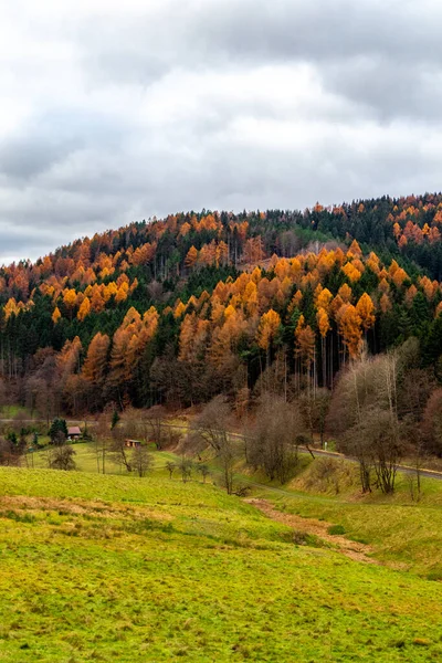 Wandern Durch Einen Bunten Thüringer Wald Thüringen — Stockfoto
