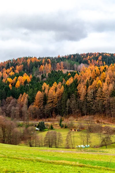 Turistika Pestrobarevným Durynským Lesem Durynsko — Stock fotografie