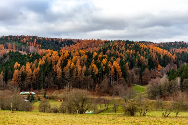 Randonnée Dans Une Forêt Colorée Thuringe Thuringe — Photo