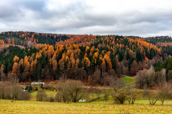 Wandern Durch Einen Bunten Thüringer Wald Thüringen — Stockfoto