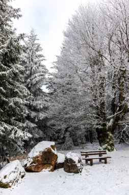 Oberhof yakınlarındaki Thuringian Ormanı 'nın tepelerinde güzel bir kış manzarası.