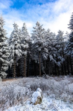Oberhof yakınlarındaki Thuringian Ormanı 'nın tepelerinde güzel bir kış manzarası.