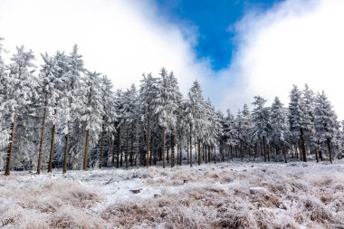 Oberhof yakınlarındaki Thuringian Ormanı 'nın tepelerinde güzel bir kış manzarası.