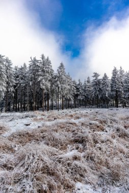 Oberhof yakınlarındaki Thuringian Ormanı 'nın tepelerinde güzel bir kış manzarası.