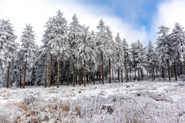 Oberhof yakınlarındaki Thuringian Ormanı 'nın tepelerinde güzel bir kış manzarası.