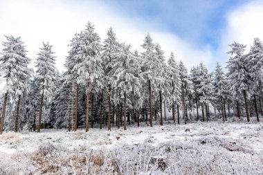 Oberhof yakınlarındaki Thuringian Ormanı 'nın tepelerinde güzel bir kış manzarası.