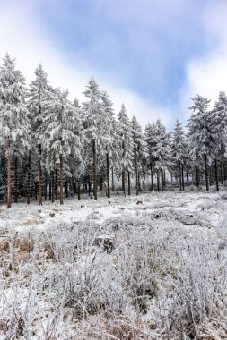 Oberhof yakınlarındaki Thuringian Ormanı 'nın tepelerinde güzel bir kış manzarası.