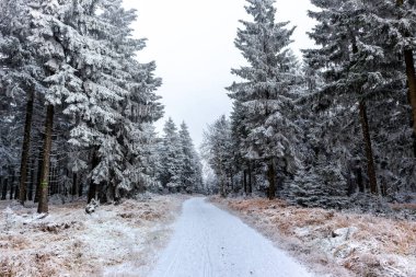 Oberhof yakınlarındaki Thuringian Ormanı 'nın tepelerinde güzel bir kış manzarası.
