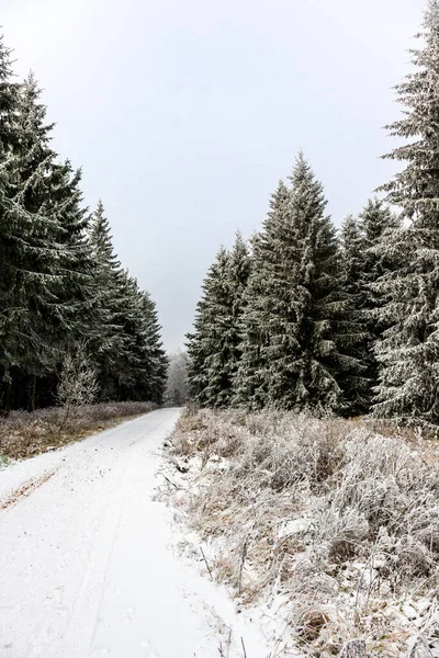 Gyönyörű Téli Táj Türingiai Erdő Magaslatain Oberhof Közelében Türingia — Stock Fotó
