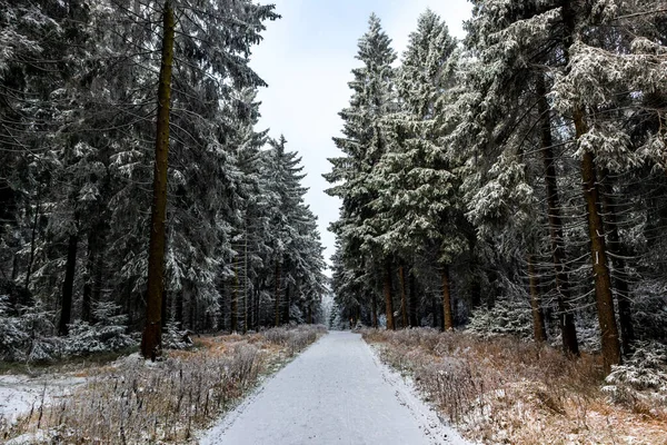 Schöne Winterlandschaft Auf Den Höhen Des Thüringer Waldes Bei Oberhof — Stockfoto