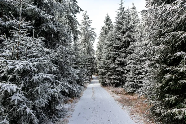 Prachtig Winterlandschap Hoogten Van Het Thüringer Woud Bij Oberhof Thüringen — Stockfoto