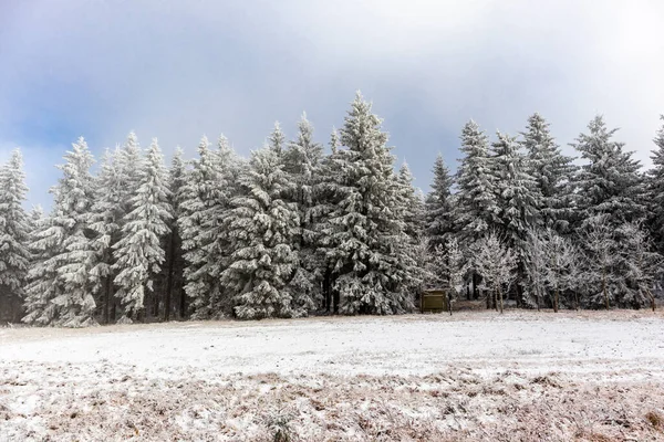 Oberhof yakınlarındaki Thuringian Ormanı 'nın tepelerinde güzel bir kış manzarası.