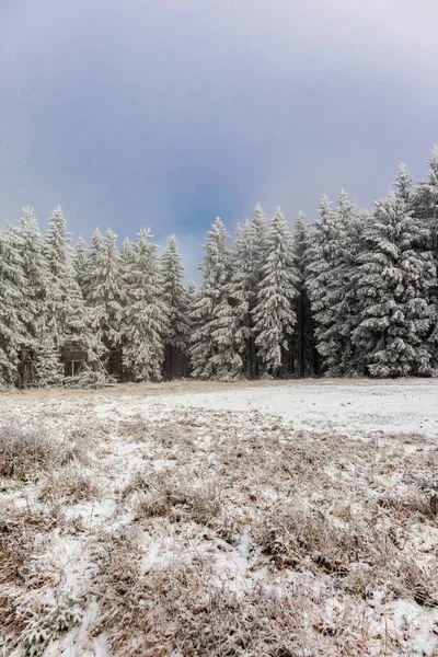 Bellissimo Paesaggio Invernale Sulle Alture Della Foresta Turingia Vicino Oberhof — Foto Stock