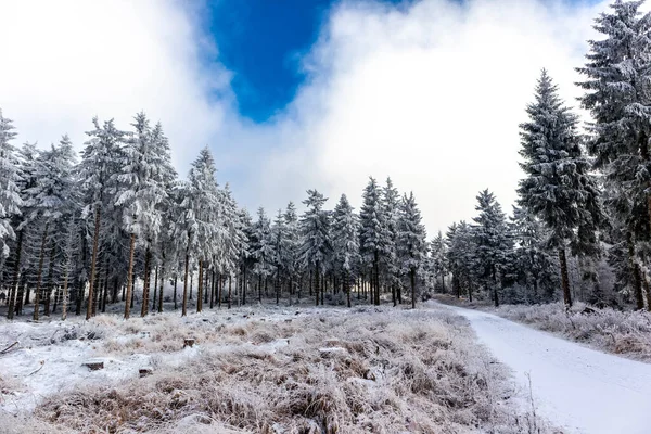 Bela Paisagem Inverno Nas Alturas Floresta Turíngia Perto Oberhof Turíngia — Fotografia de Stock