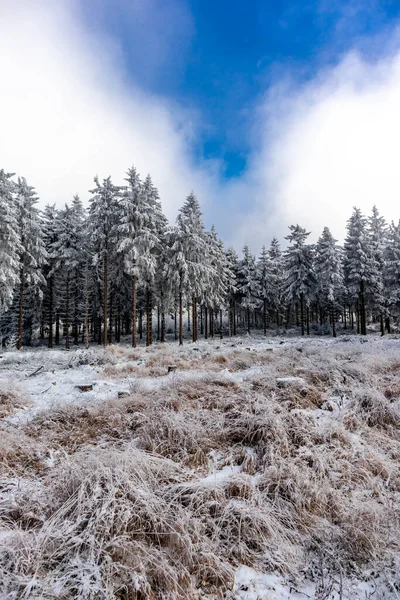 Piękny Zimowy Krajobraz Wysokościach Lasu Turyngii Koło Oberhof Turyngia — Zdjęcie stockowe