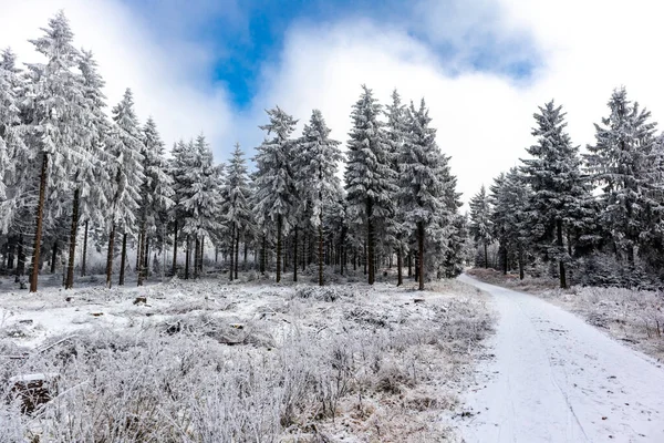 Όμορφο Χειμερινό Τοπίο Στα Ύψη Του Δάσους Της Θουριγγίας Κοντά — Φωτογραφία Αρχείου