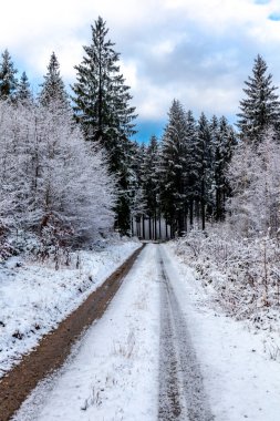 Schmalkalden-Thüringen yakınlarındaki Thuringian Ormanı 'nın güneybatı yamacında keşif gezisi.