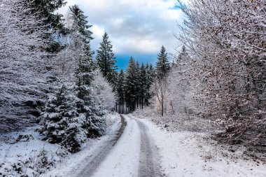Schmalkalden-Thüringen yakınlarındaki Thuringian Ormanı 'nın güneybatı yamacında keşif gezisi.
