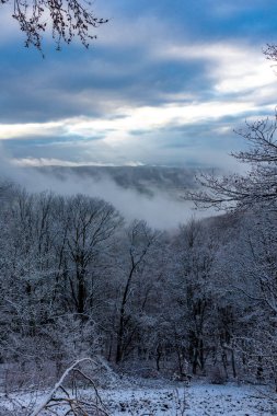 Schmalkalden-Thüringen yakınlarındaki Thuringian Ormanı 'nın güneybatı yamacında keşif gezisi.