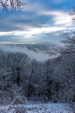 Schmalkalden-Thüringen yakınlarındaki Thuringian Ormanı 'nın güneybatı yamacında keşif gezisi.