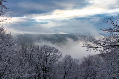 Schmalkalden-Thüringen yakınlarındaki Thuringian Ormanı 'nın güneybatı yamacında keşif gezisi.