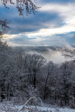 Schmalkalden-Thüringen yakınlarındaki Thuringian Ormanı 'nın güneybatı yamacında keşif gezisi.