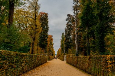 Potsdam, Brandenburg kapılarındaki Sanssouci Sarayı 'nın güzel parkını ziyaret edin.