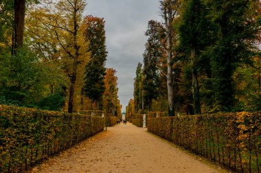 Potsdam, Brandenburg kapılarındaki Sanssouci Sarayı 'nın güzel parkını ziyaret edin.