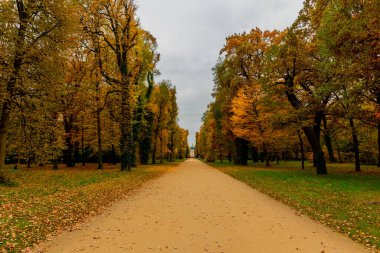 Potsdam, Brandenburg kapılarındaki Sanssouci Sarayı 'nın güzel parkını ziyaret edin.