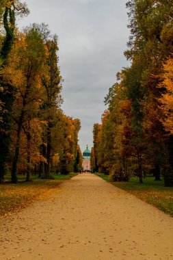 Potsdam, Brandenburg kapılarındaki Sanssouci Sarayı 'nın güzel parkını ziyaret edin.