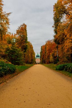 Potsdam, Brandenburg kapılarındaki Sanssouci Sarayı 'nın güzel parkını ziyaret edin.