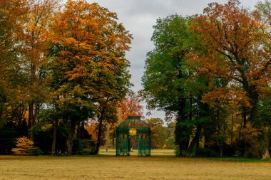 Potsdam, Brandenburg kapılarındaki Sanssouci Sarayı 'nın güzel parkını ziyaret edin.