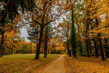 Potsdam, Brandenburg kapılarındaki Sanssouci Sarayı 'nın güzel parkını ziyaret edin.