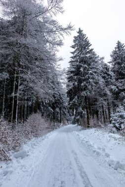 Schmiedefeld yakınlarındaki Thuringian Ormanı 'nın tepelerinde güzel bir kış manzarası.