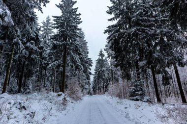 Schmiedefeld yakınlarındaki Thuringian Ormanı 'nın tepelerinde güzel bir kış manzarası.