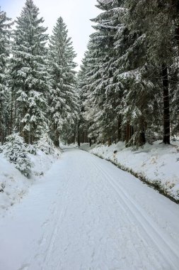 Schmiedefeld yakınlarındaki Thuringian Ormanı 'nın tepelerinde güzel bir kış manzarası.