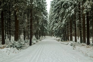 Schmiedefeld yakınlarındaki Thuringian Ormanı 'nın tepelerinde güzel bir kış manzarası.