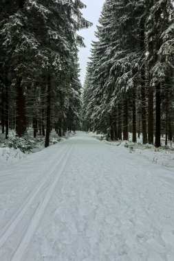 Schmiedefeld yakınlarındaki Thuringian Ormanı 'nın tepelerinde güzel bir kış manzarası.