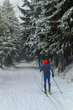 Schmiedefeld yakınlarındaki Thuringian Ormanı 'nın tepelerinde güzel bir kış manzarası.