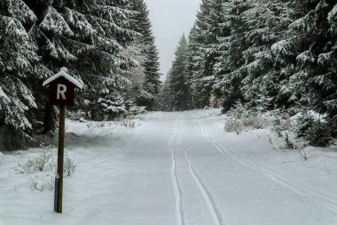 Schmiedefeld yakınlarındaki Thuringian Ormanı 'nın tepelerinde güzel bir kış manzarası.
