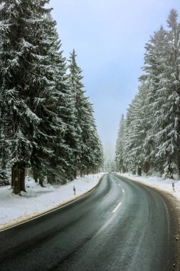 Schmiedefeld yakınlarındaki Thuringian Ormanı 'nın tepelerinde güzel bir kış manzarası.