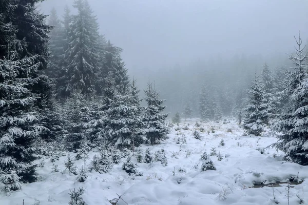 Schmiedefeld Yakınlarındaki Thuringian Ormanı Nın Tepelerinde Güzel Bir Kış Manzarası — Stok fotoğraf