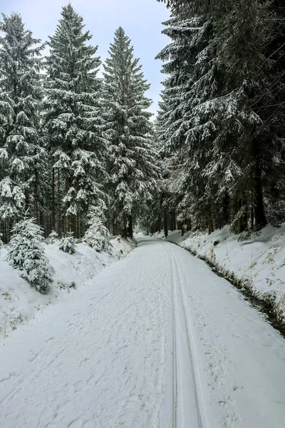 Beautiful Winter Landscape Heights Thuringian Forest Schmiedefeld Thuringia — Stock Photo, Image